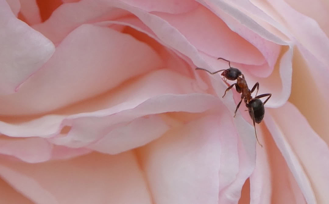 Wie kann ich mir die Arbeit erleichtern? Der Klassiker Zeit-  und Selbstmanagement gehört  zu den Schlüsselqualifikationen  im Berufsleben. Die Methoden  erfolgreich einzusetzen, fokussiert zu arbeiten, Vorhaben wirklich umzusetzen und einen positiven Mindset zu entwickeln sind weitere Ansätze. Trainings dazu ...