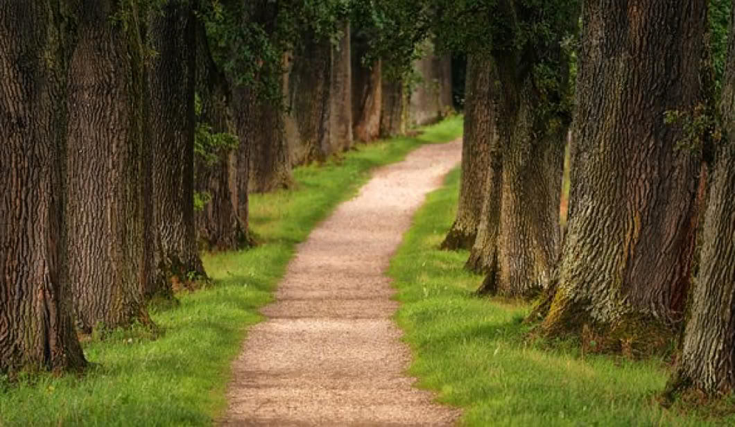 Sie haben ein aktuelles Thema  mit dem Sie nicht weiterkommen  und Sie denken, dass Impulse  von außen Sie dabei unterstützen Lösungen zur unmittelbaren Umsetzung zu finden, dann buchen Sie sich hier Ihren zeitnahen Coaching-Termin. Bis dann